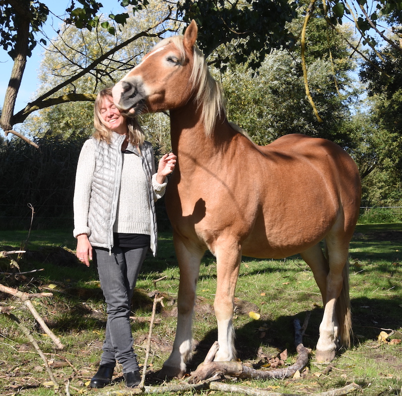 Innige Beziehung zum Pferd