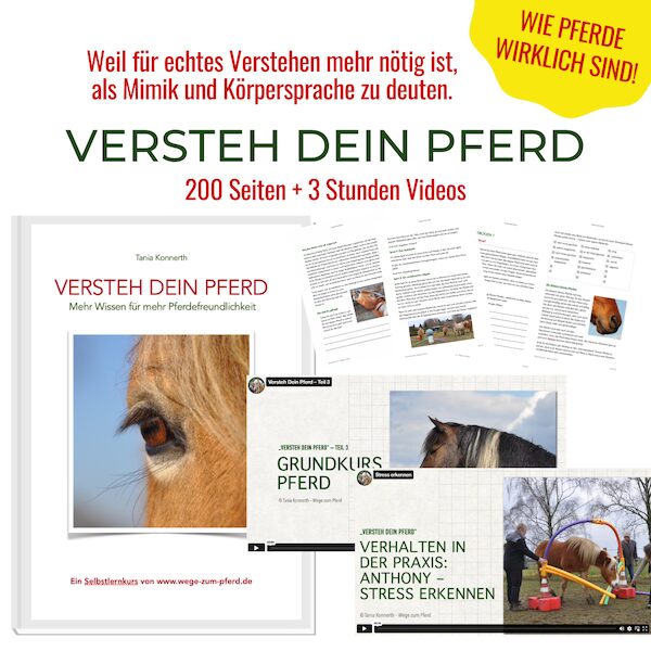 versteh-dein-pferd-shop Versteh dein Pferd von Tania von Wege zum Pferd