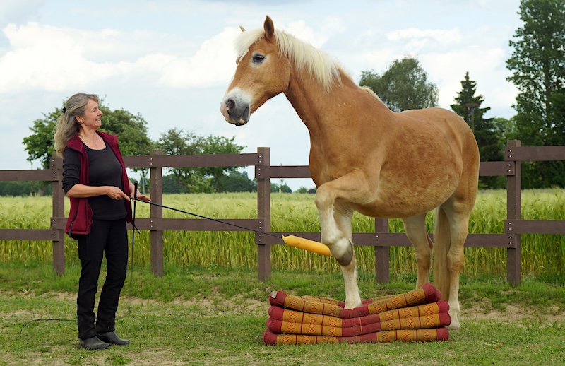 Tania von Wege zum Pferd