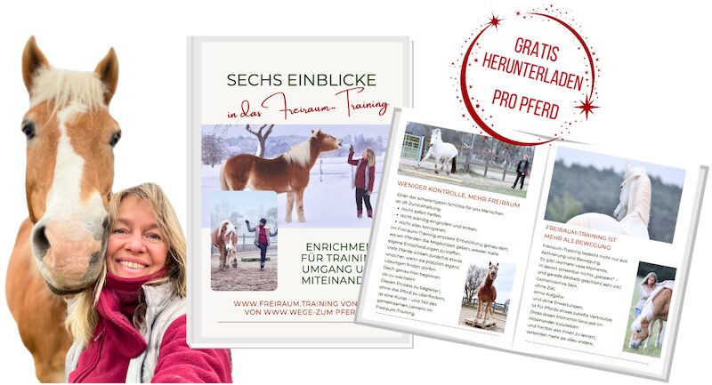 Einblicke in das Freiraum-Training