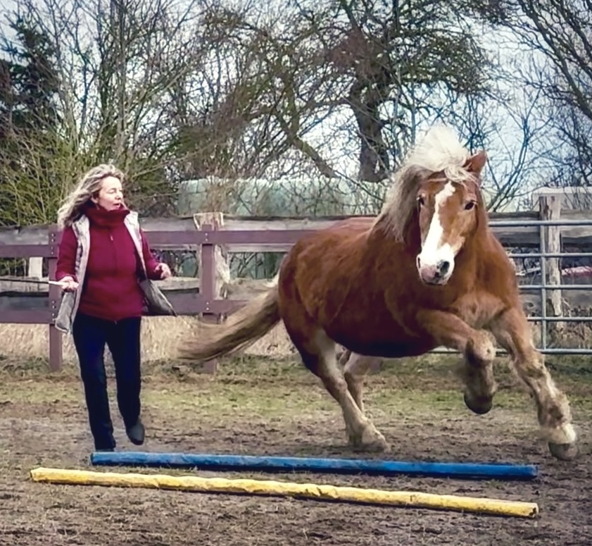 Freiraum-Training von Tania