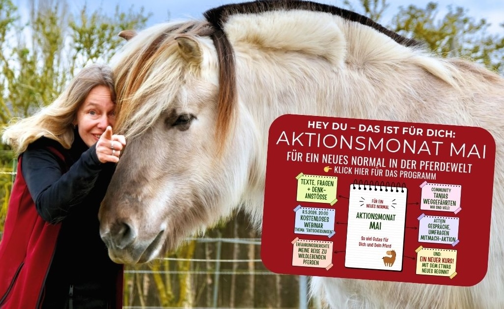 Aktionsmonat Mai bei "Wege zum Pferd"