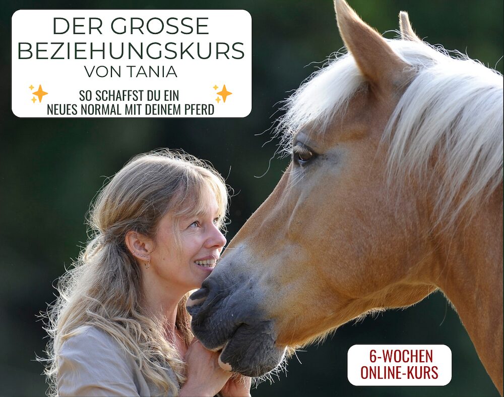 Der große Beziehungskurs von Tania