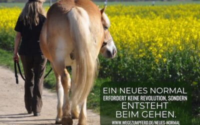 Veränderung ist ein Prozess