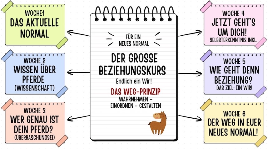 WEG-Prinzip für den Beziehungskurs
