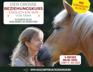 Der große Beziehungskurs