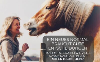 Wer trifft die Entscheidungen?