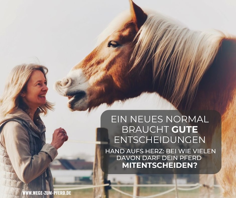 Wer trifft die Entscheidungen?