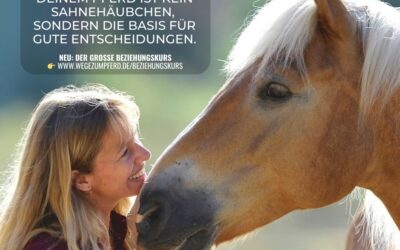 Beziehung ist kein Sahnehäubchen