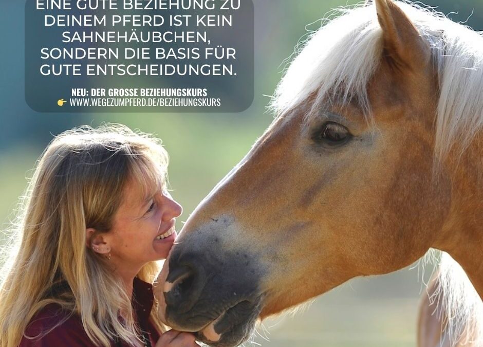 Beziehung ist kein Sahnehäuchen