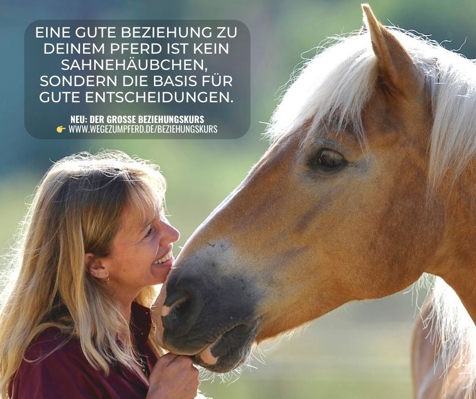 Beziehung zum Pferd
