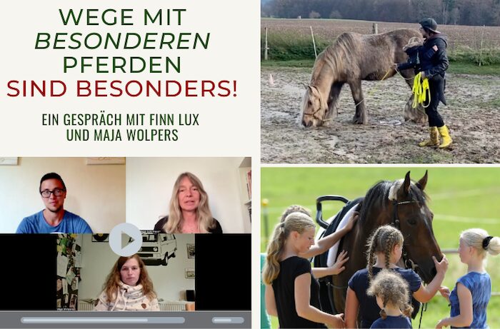 Schwierige Pferde