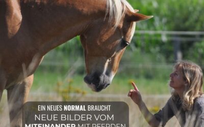 Bilder für ein neues Normal