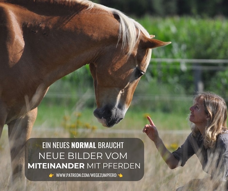 Bilder für ein neues Normal