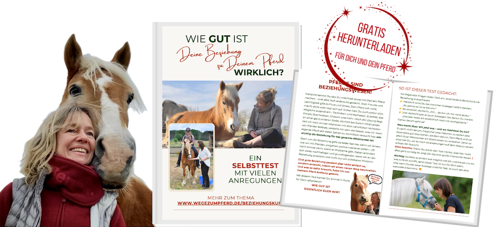 Beziehungstest – kostenlos für Dich