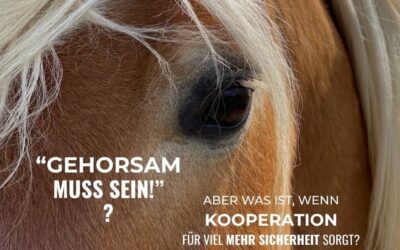Gehorsam beim Pferd